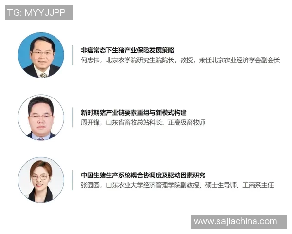 CBA主场纪念品销售动态分析与市场趋势探讨